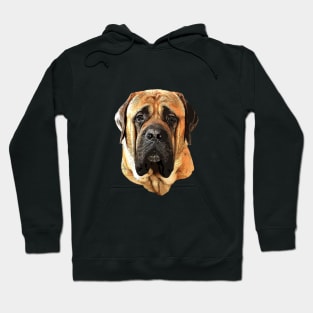 Boerboel Hoodie